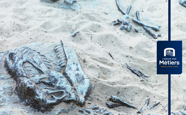 Photo L'Arche des métiers: Sur les traces de Dino