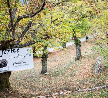 Sentier d'interprétation - "Générations de castanéïculteur"