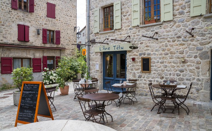 Photo L'Âne Têtu