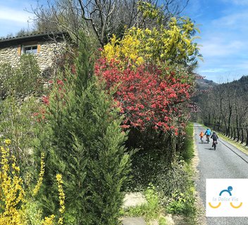 Photo Gîte de charme La Tourelle sur la Dolce Via