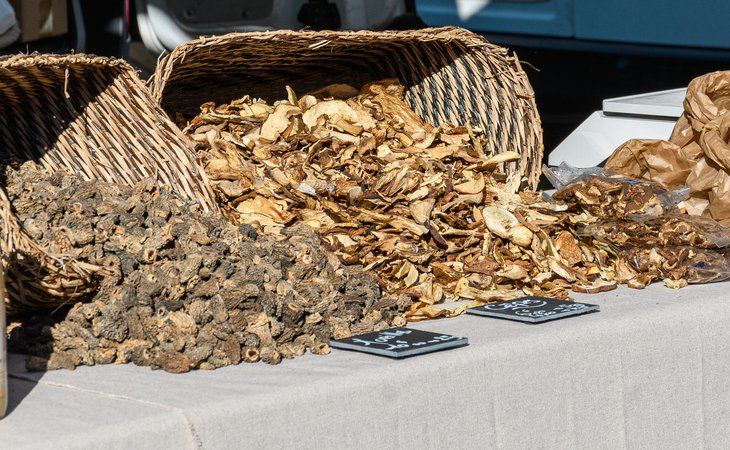 Photo L'Automnal du champignon - L'Automnal gourmand