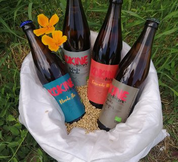 Photo Visite commentée - "Brasserie Kokine Bières"