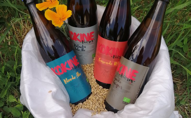 Photo Visite commentée - "Brasserie Kokine Bières"