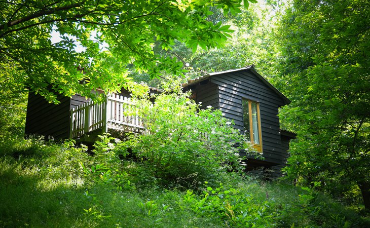 Photo Gîte les Grangeonnes - Canopée