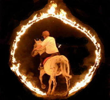 Photo Fête du cheval
