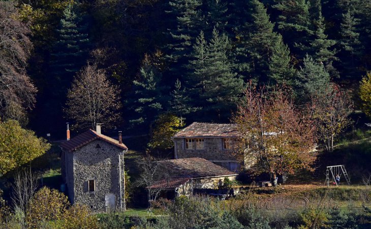 Photo Domaine des Blaches - La Blache