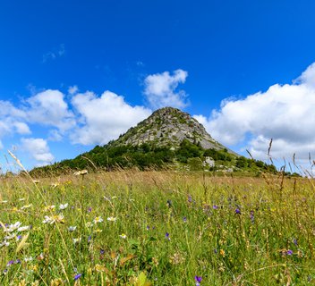 Le Château de Rochebonne
