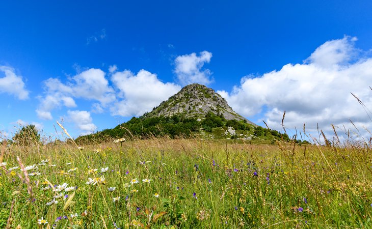 Photo Le Château de Rochebonne