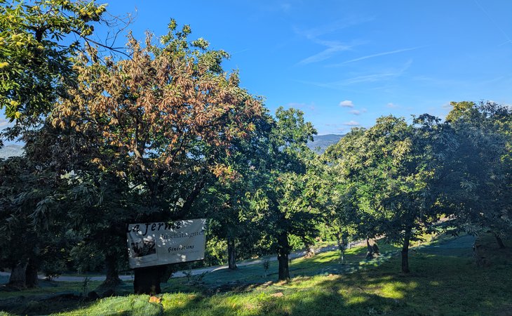 Photo La Ferme du Châtaignier