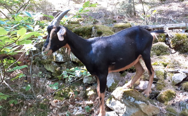 Photo Visite de notre ferme !