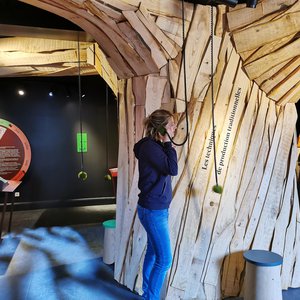 Journées Européennes du Patrimoine : Visite de la Maison du Châtaignier