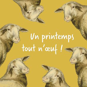 Un printemps tout n'œuf !