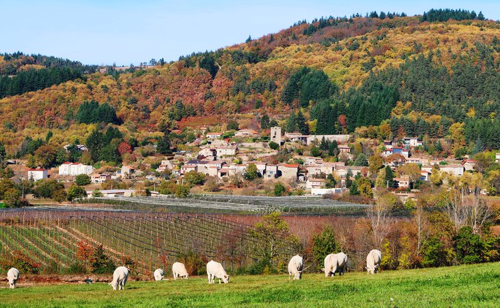 Photo Visite découverte "Châteauneuf-de-Vernoux, les paysages du Coeur d'Ardèche"