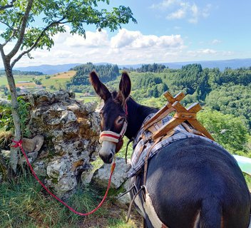 Estelle Brodeur (Ânes sans frontières) - Hikes with donkeys