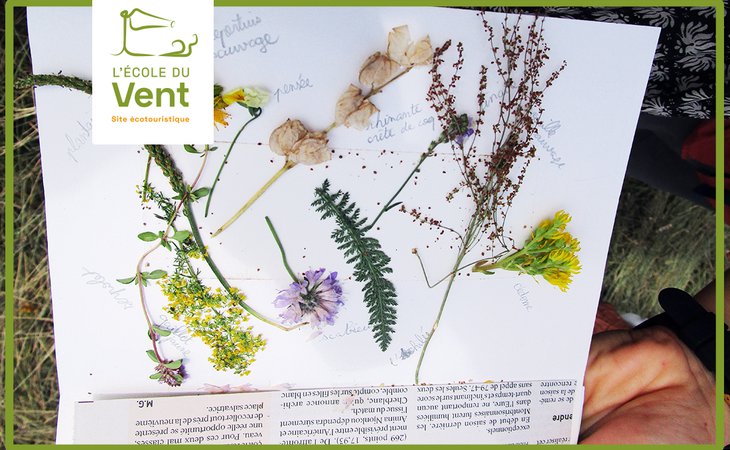 Photo Fabrique ton carnet botanique