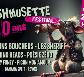 Photo Festival de musique actuelle "Crashmusette" - Soirée-concert du samedi