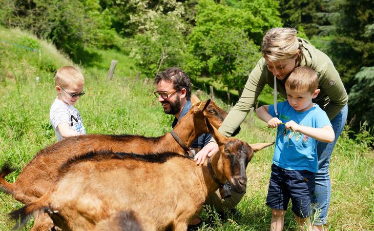 Photo Visite de la chèvrerie - L'Automnal gourmand
