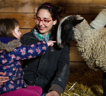 Photo Visite "Les secrets de la laine"