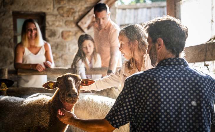 Photo Guided tour "The secrets of wool"