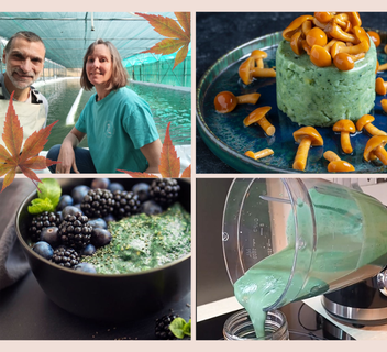 Photo L'Automnal gourmand : La Spiruline un super-aliment à intégrer dans vos recettes de cuisine !