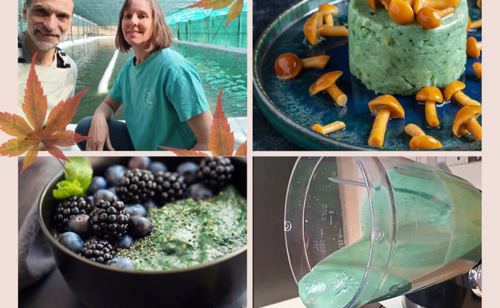 Photo L'Automnal gourmand : La Spiruline un super-aliment à intégrer dans vos recettes de cuisine !