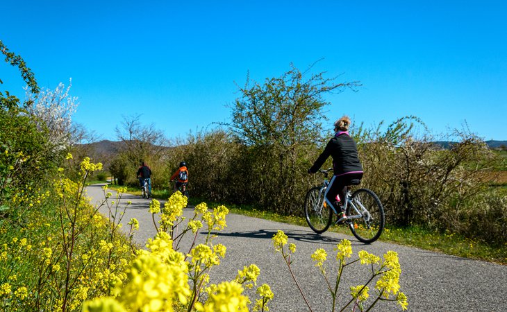 Photo "Entre voie douce de la Payre et ViaRhôna" - Sortie à VTC électrique à la demi-journée