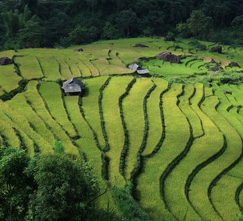 Photo Rencontres Nord Sud, le Vietnam