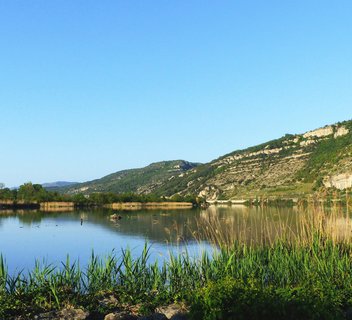 Site naturel protégé de l'Île de Printegarde