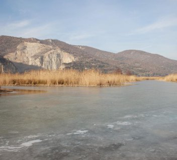 Réserve naturelle de l'île de Printegarde