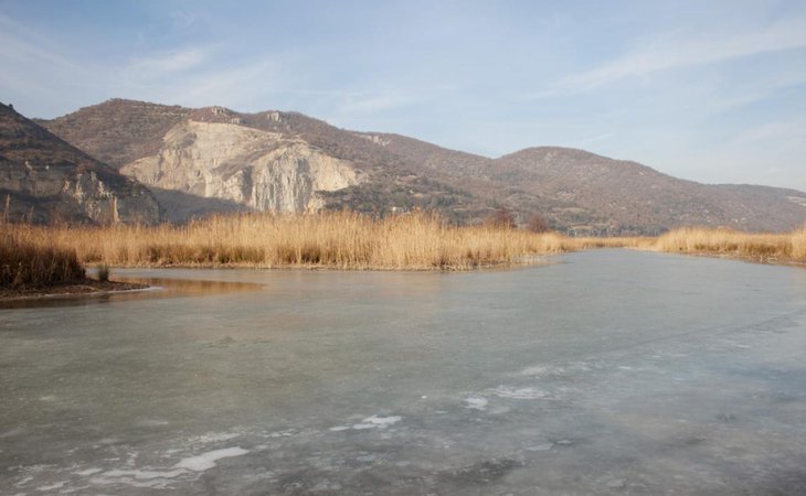 Photo Réserve naturelle de l'île de Printegarde